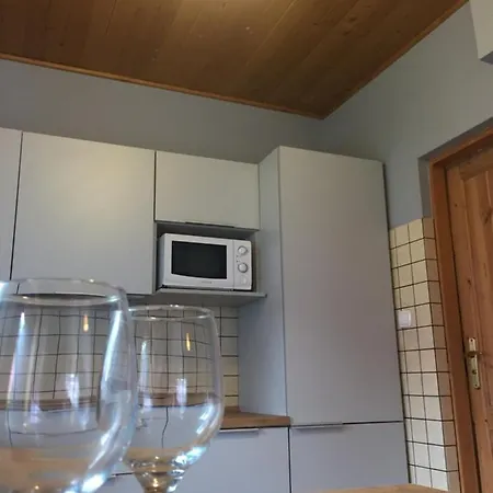 Baryla Z Sauna I Basenem * Sulęczyno