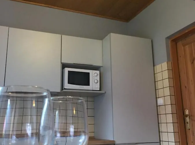 Baryla Z Sauna I Basenem * Sulęczyno