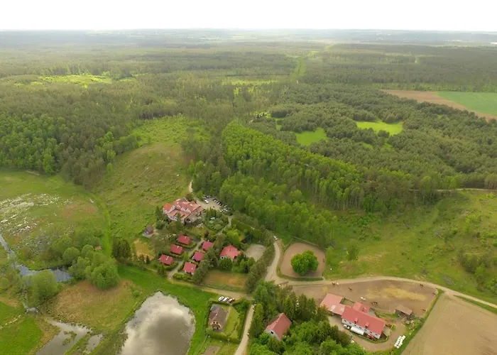 Baryla Z Sauna I Basenem 別荘 *